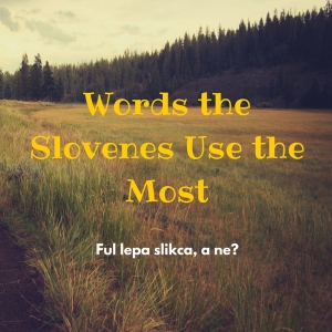 Words the Slovenes Use the Most